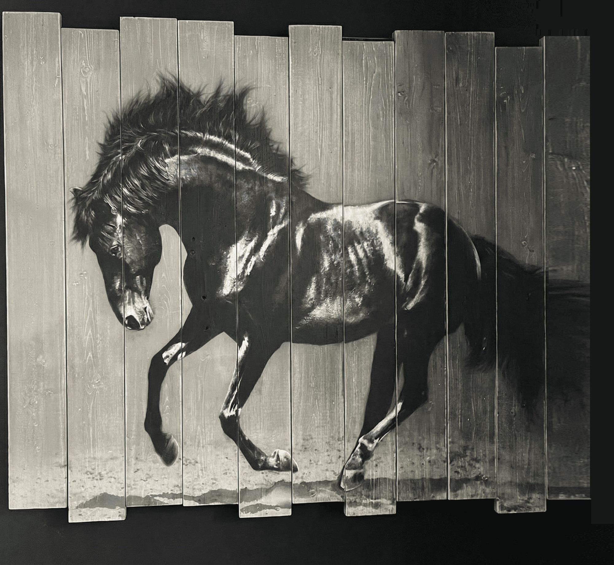 Интерьерная картина да досках HoRSE размер 146х100х4